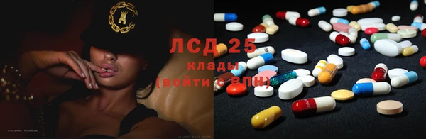 мяу мяу мука Алзамай