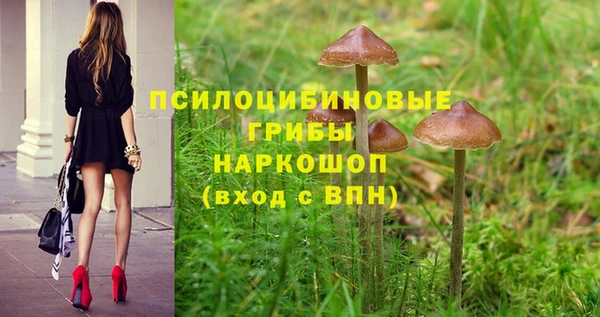 кокс Алексеевка