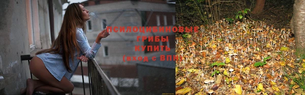 кокс Алексеевка