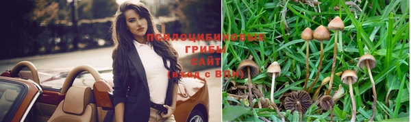 кокс Алексеевка